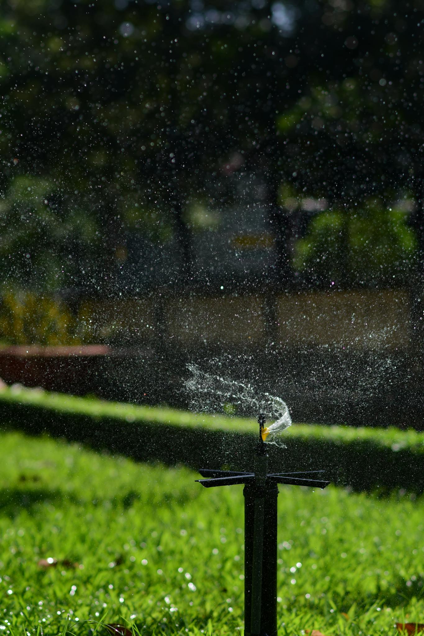 A backyard sprinkler spraying water creating a shimmering effect in the sunlight.