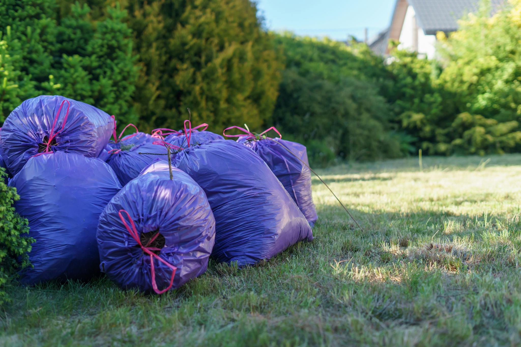 Vibrant purple trash bags stacked in a sunlit garden setting, ideal for spring clean-up visuals.